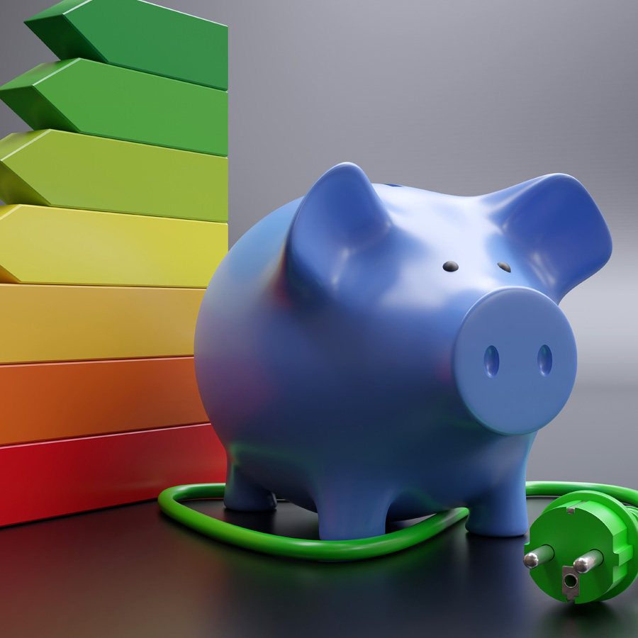 captura de pantalla del curso